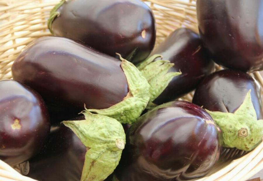 Μπορούν οι γάτες να φάνε μελιτζάνα; Διατροφικά στοιχεία & Συχνές ερωτήσεις