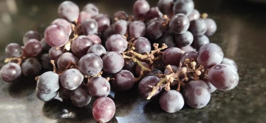 Αυτές είναι οι πιο 6 τοξικές τροφές για τις γάτες: Εγκεκριμένες Πληροφορίες