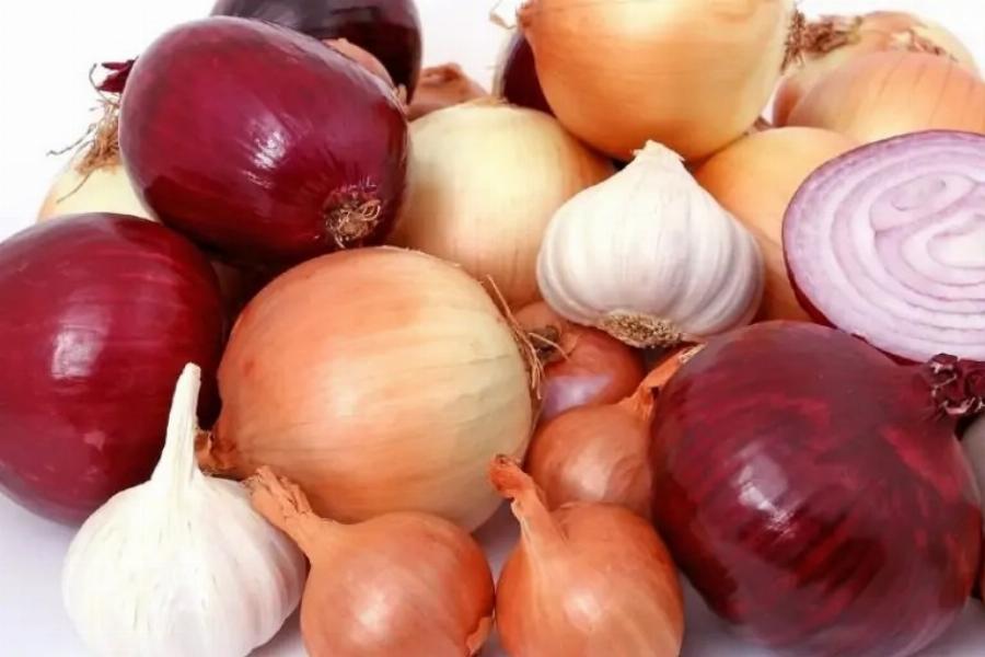 Αυτές είναι οι πιο 6 τοξικές τροφές για τις γάτες: Εγκεκριμένες Πληροφορίες