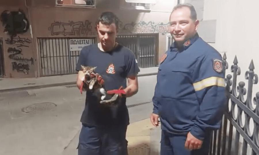 Μπράβο τους : Πυροσβέστες διασώζουν γατάκι από φεγγίτη στην Τρίπολη