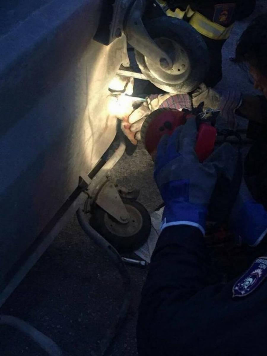 Μπράβο τους: Η συγκινητική διάσωση γάτας που είχε παγιδευτεί σε κάδο από το Animal Action Greece