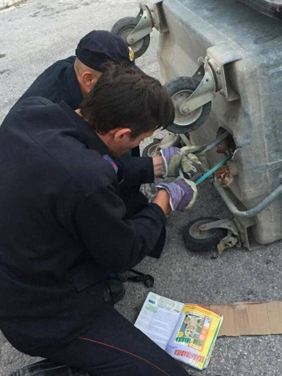 Μπράβο τους: Η συγκινητική διάσωση γάτας που είχε παγιδευτεί σε κάδο από το Animal Action Greece