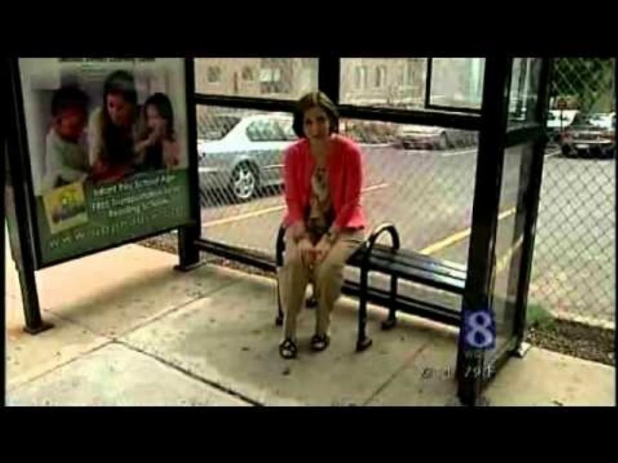 Ιστορίες με γάτες: 10 Απίστευτες ηρωικές γάτες που έσωσαν ζωές