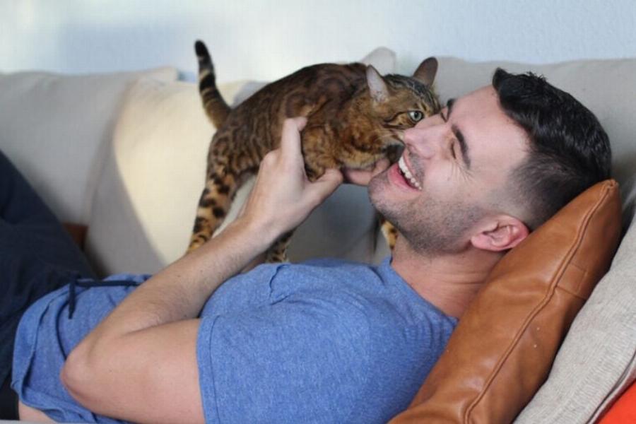 Γιατί η γάτα μου δαγκώνει το αυτί μου; Αυτοί είναι οι 10 συνηθισμένοι λόγοι