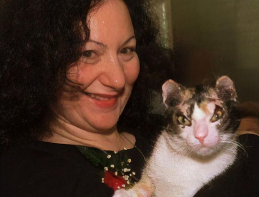 Ιστορίες με γάτες που έσωσαν τις ζωές ανθρώπων