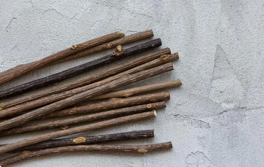 Είναι τα Silvervine Sticks ασφαλή για τις γάτες; Τι είναι; – Εγκεκριμένες από κτηνίατρο πληροφορίες και συμβουλές