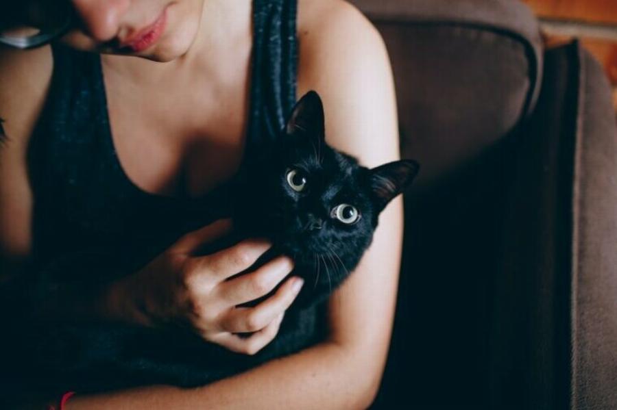 100 ονόματα γατών εμπνευσμένα από ταινίες για το σούπερ σταρ κατοικίδιο ζώο σας