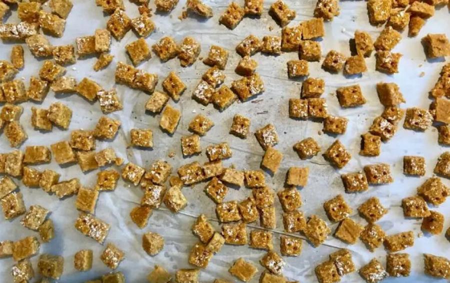 Σπιτικές λιχουδιές γάτας με κολοκύθα – 3 συνταγές εγκεκριμένες από κτηνίατρο