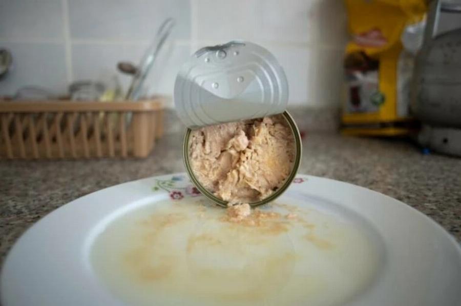 Μπορούν οι γάτες να πίνουν νερό τόνου; Εγκεκριμένα από κτηνίατρο διατροφικά στοιχεία