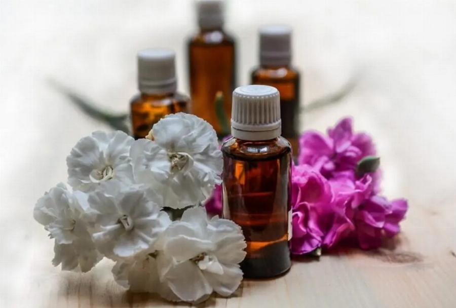 Είναι το έλαιο τεϊόδεντρου τοξικό για τις γάτες; Εγκεκριμένες από κτηνίατρο πληροφορίες& Συχνές ερωτήσεις