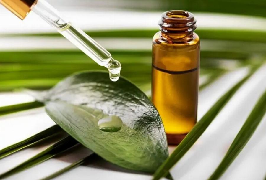 Είναι το έλαιο τεϊόδεντρου τοξικό για τις γάτες; Εγκεκριμένες από κτηνίατρο πληροφορίες& Συχνές ερωτήσεις