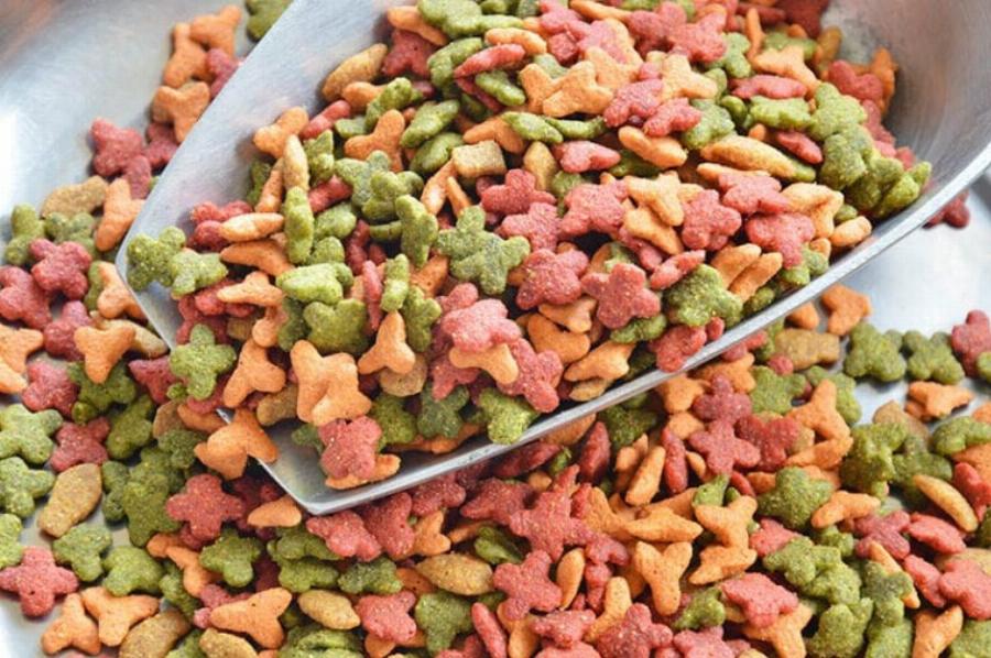 Σπιτική ή αγορασμένη τροφή γάτας: Πλεονεκτήματα, Μειονεκτήματα & Χρήσιμες πληροφορίες