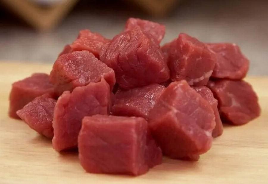 Σαλμονέλα στις γάτες: Συμπτώματα, πρόληψη και θεραπεία