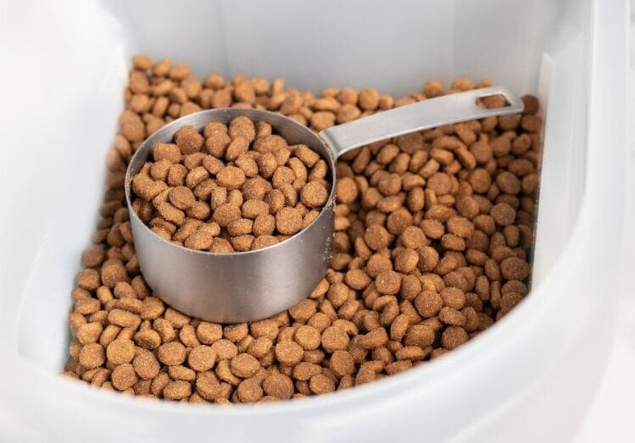 Μπορούν οι γάτες να φάνε ζαχαρωτά; Διατροφικά στοιχεία & Συχνές ερωτήσεις