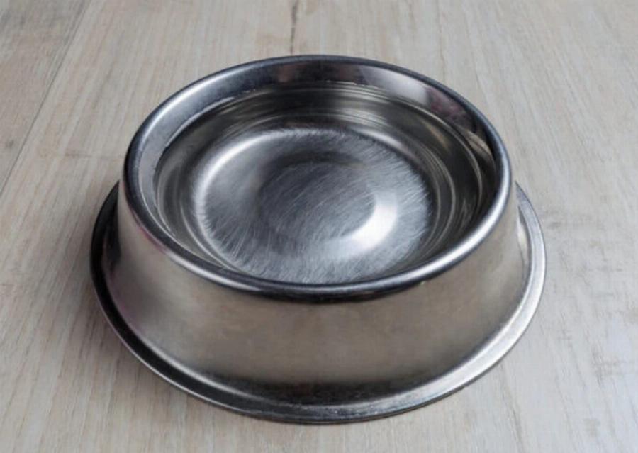 Μπορούν οι σκύλοι και οι γάτες να μοιράζονται μπολ με νερό; Συμβουλές εγκεκριμένες από κτηνίατρο