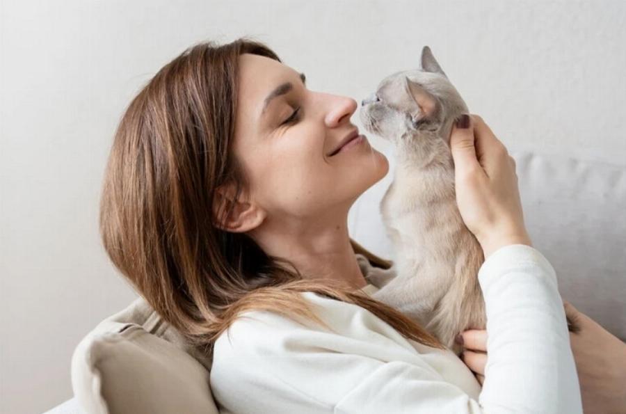 Καταλαβαίνουν οι γάτες τα φιλιά; Πληροφορίες & Σκέψεις