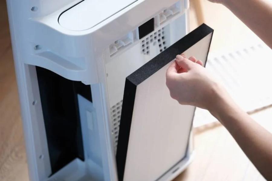 Μπορείτε να είστε αλλεργικοί σε ορισμένες γάτες αλλά όχι σε άλλες; Πληροφορίες & συμβουλές φροντίδας