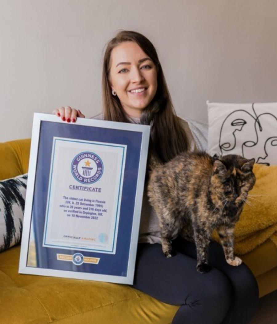 Πόσο καιρό ζουν οι οικόσιτες γάτες; -Διάρκεια ζωής και κύκλος ζωής της γάτας