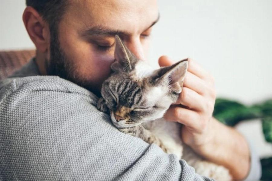 Αρέσει στις γάτες να τις σφίγγουμε στην αγκαλιά μας; Μία ενδιαφέρουσα απάντηση