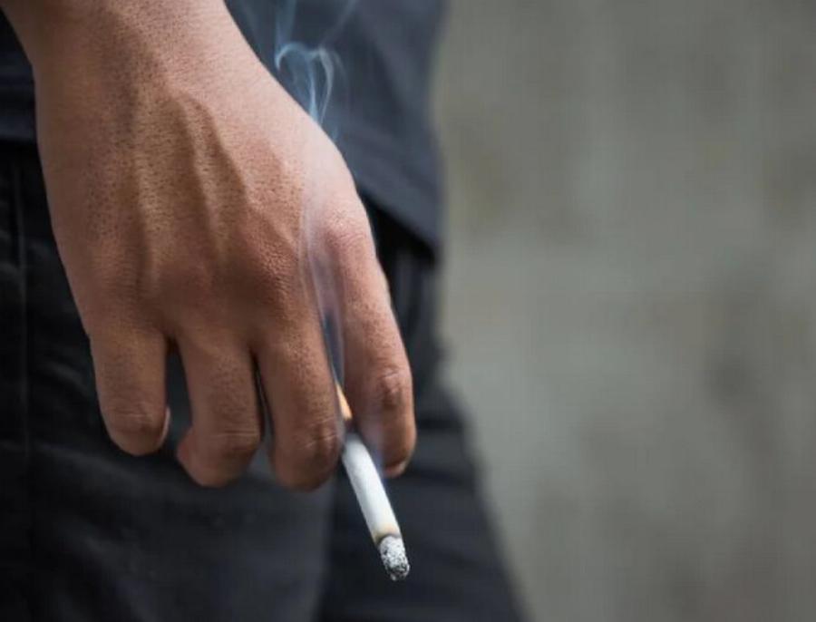 Πώς επηρεάζει το κάπνισμα τις γάτες; Εγκεκριμένες από κτηνίατρο συμβουλές & Συχνές ερωτήσεις