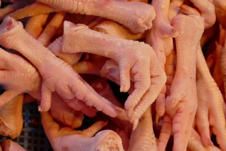 Μπορούν οι γάτες να φάνε πόδια κοτόπουλου; Εγκεκριμένες από κτηνίατρο πληροφορίες & Συχνές ερωτήσεις