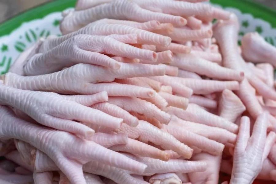 Μπορούν οι γάτες να φάνε πόδια κοτόπουλου; Εγκεκριμένες από κτηνίατρο πληροφορίες & Συχνές ερωτήσεις