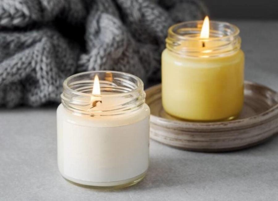 Στις γάτες αρέσει η μυρωδιά της βανίλιας; Ενδιαφέρουσες πληροφορίες & Συχνές ερωτήσεις