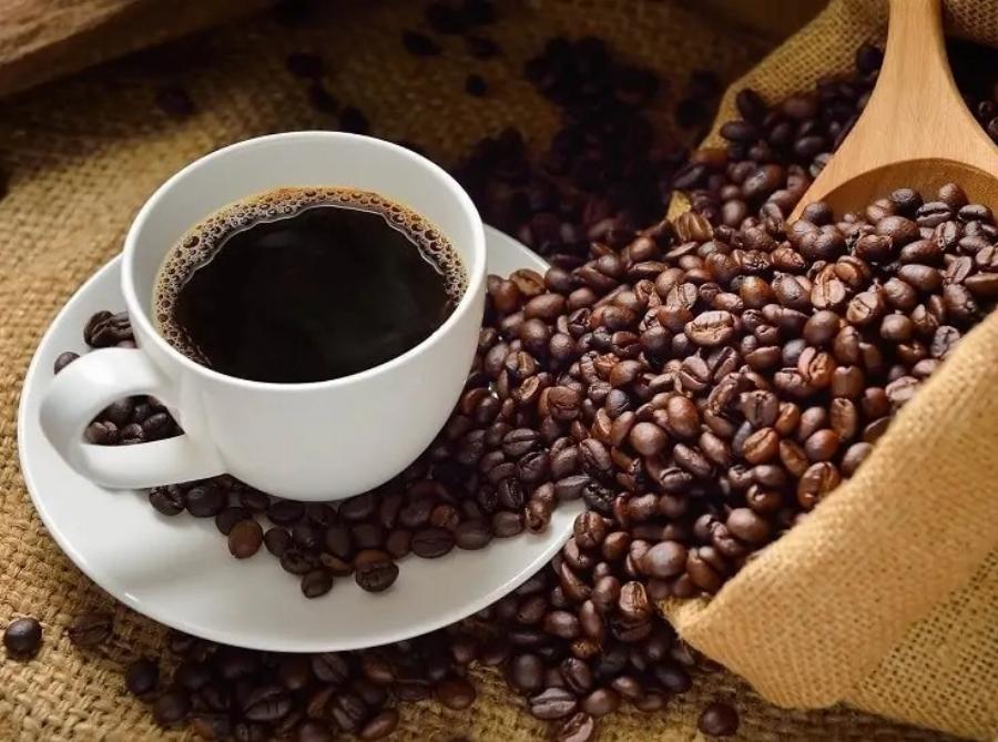 Η γάτα μου ήπιε καφέ – να τι πρέπει να κάνετε