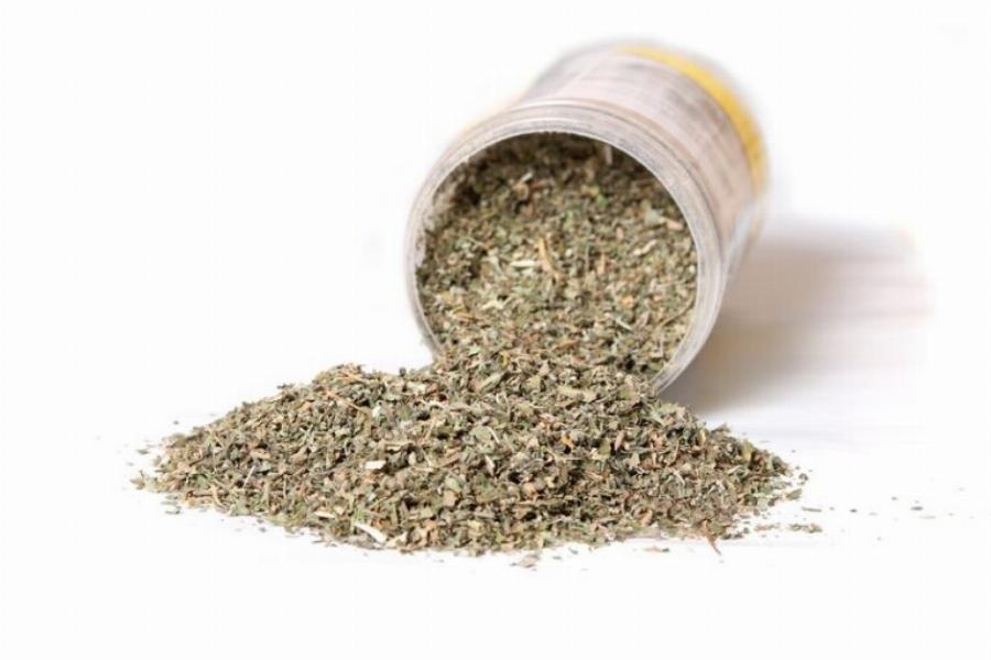 Θα βοηθήσει το catnip τις γάτες που πονάνε; Τι πρέπει να γνωρίζετε!