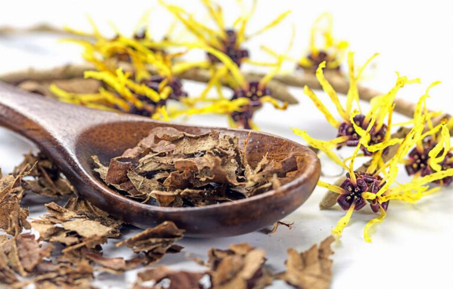 Είναι το Witch Hazel ασφαλές για τις γάτες; Οδηγός κινδύνων & ασφάλειας εγκεκριμένος από κτηνίατρο