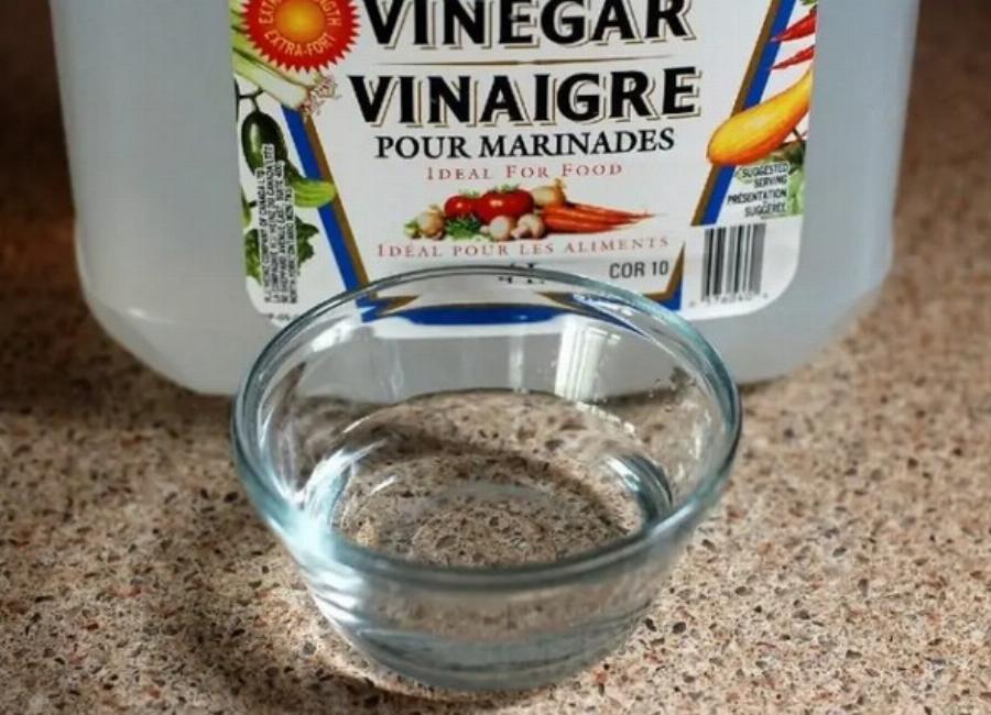 Τι να κάνω αν η γάτα μου πιει ξύδι; Πληροφορίες υγείας που έχουν αξιολογηθεί από κτηνίατρο