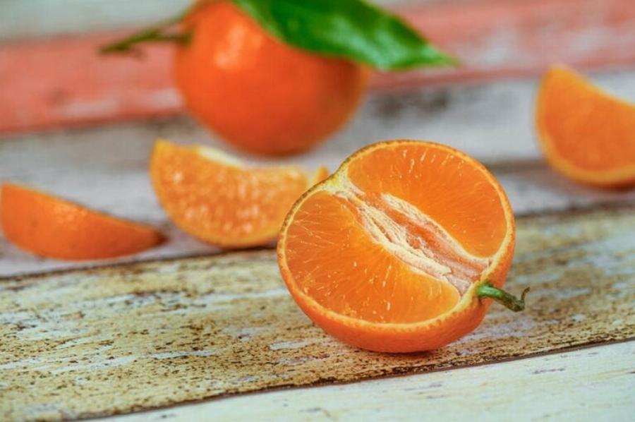 Μπορούν οι γάτες να φάνε μανταρίνια; Διατροφικά στοιχεία & οδηγός ασφάλειας