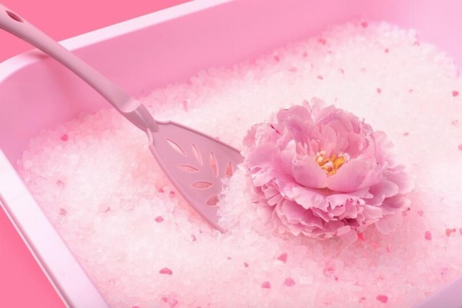 Θα βοηθήσει ένας καθαριστής αέρα με τη μυρωδιά της άμμου της γάτας μου; Τι πρέπει να γνωρίζετε!