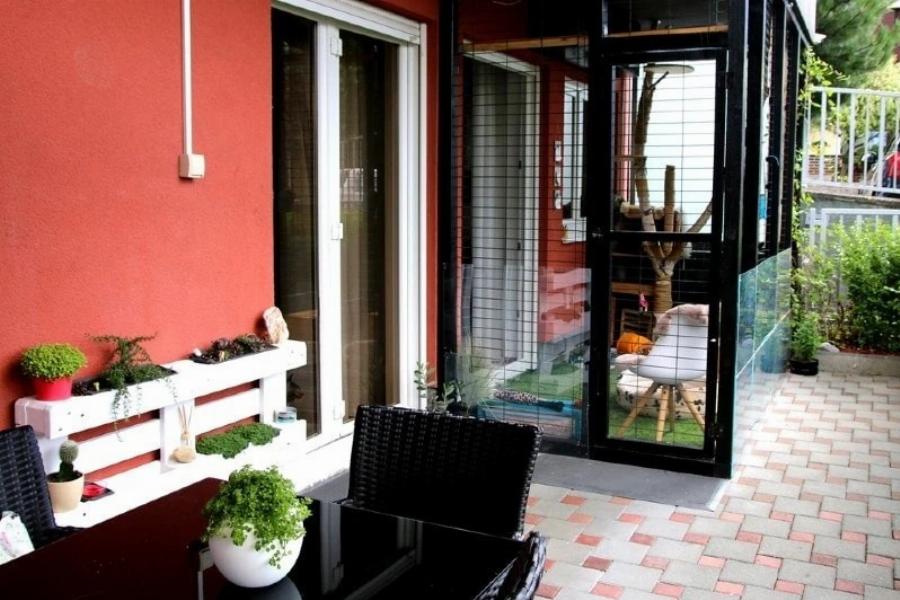 Τι είναι το Catio; Οφέλη, τύποι & Συχνές ερωτήσεις