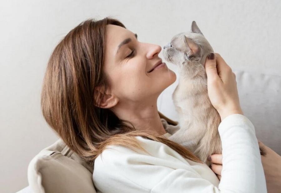 Αρέσει στις γάτες όταν τους τραγουδάτε; – Τι αποκαλύπτει η επιστήμη