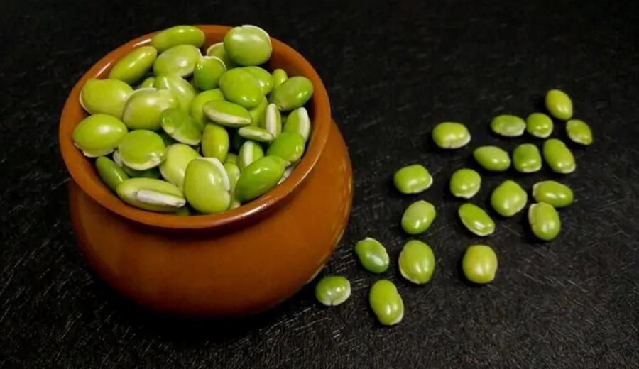 Μπορούν οι γάτες να φάνε φασόλια Λίμα; Εγκεκριμένες από κτηνίατρο πληροφορίες & συχνές ερωτήσεις