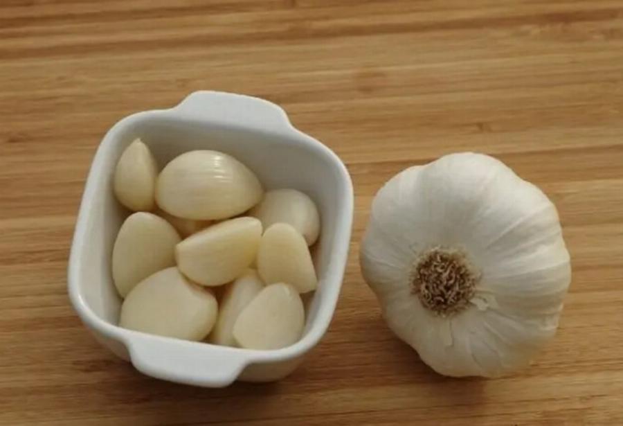 Τοξικότητα σκόρδου στις γάτες: Συμπτώματα & θεραπείες σύμφωνα με κτηνίατρο