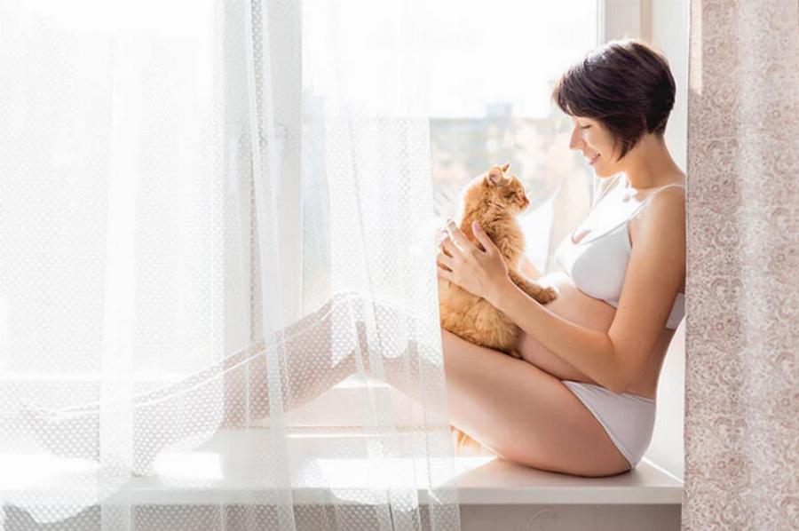 Γνωρίζουν οι γάτες πότε έρχεται ένα μωρό; Αισθήσεις των αιλουροειδών και συμβουλές φροντίδας