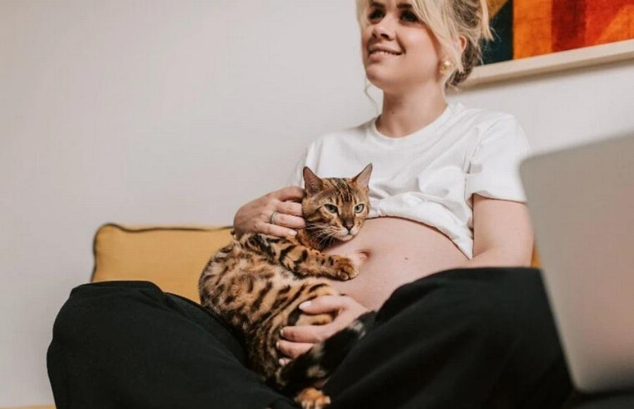 Γνωρίζουν οι γάτες πότε έρχεται ένα μωρό; Αισθήσεις των αιλουροειδών και συμβουλές φροντίδας