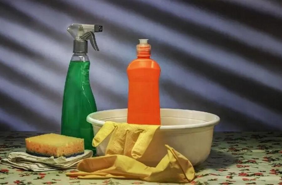 Αυτά είναι τα 10 οικιακά αντικείμενα που είναι τοξικά για τις γάτες