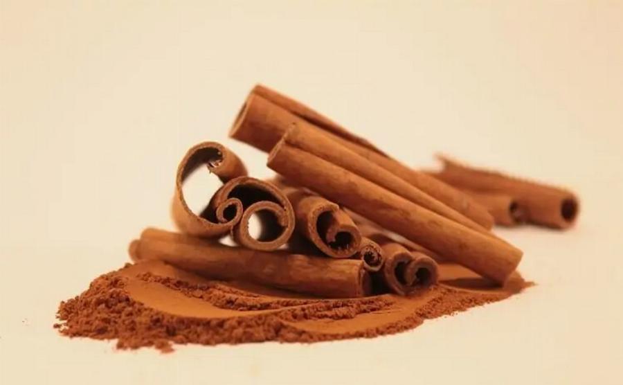 Η κανέλα κρατάει τις γάτες μακριά; Χρήσιμες πληροφορίες & Ασφαλή αποτρεπτικά για τις γάτες