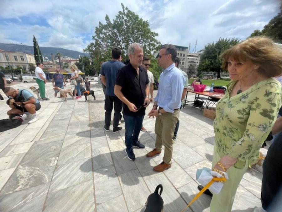 Γιορτή Υιοθεσίας: Η αγκαλιά της Αστικής Πανίδας του δήμου Αθηνών στα Αδέσποτα Ζώα
