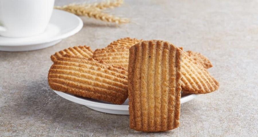 Μπορούν οι γάτες να φάνε μπισκότα; Χρήσιμες πληροφορίες από κτηνίατρο