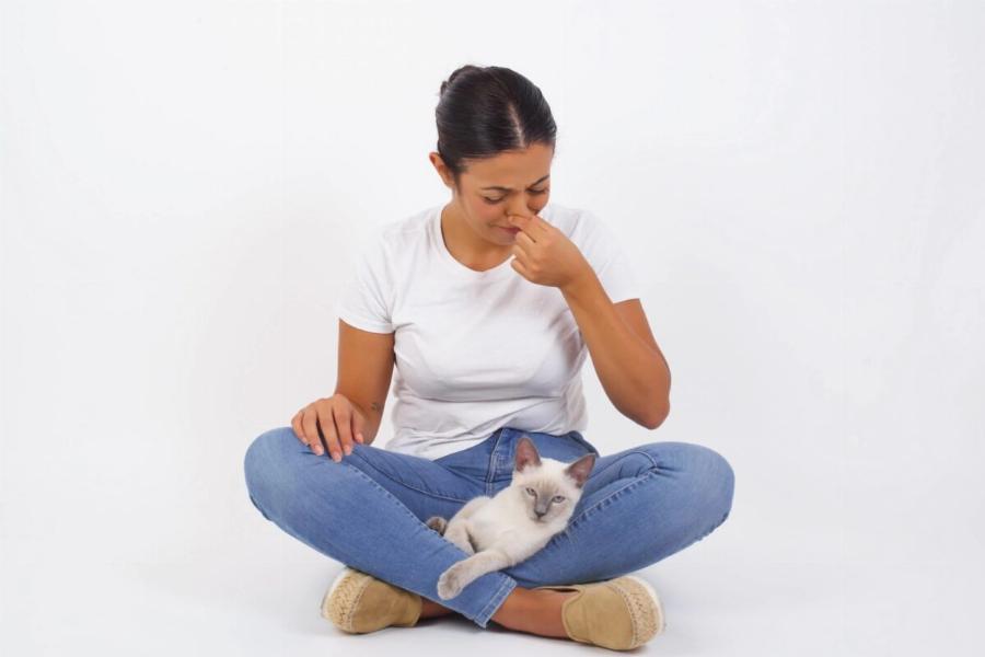 11 πιθανοί λόγοι για τους οποίους η γάτα σας μυρίζει άσχημα: Τι να κάνετε γι’ αυτό;