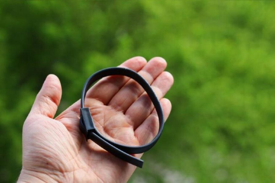 Τα κολάρα για τσιμπούρια και ψύλλους λειτουργούν για όλες τις γάτες; Πληροφορίες για την υγεία και την ασφάλεια των αιλουροειδών