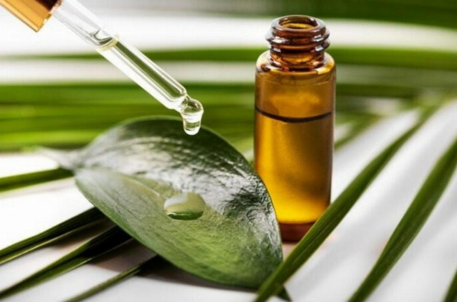 Είναι το πατσουλί ασφαλές για τις γάτες; Εγκεκριμένα από κτηνίατρο στοιχεία & Συχνές ερωτήσεις