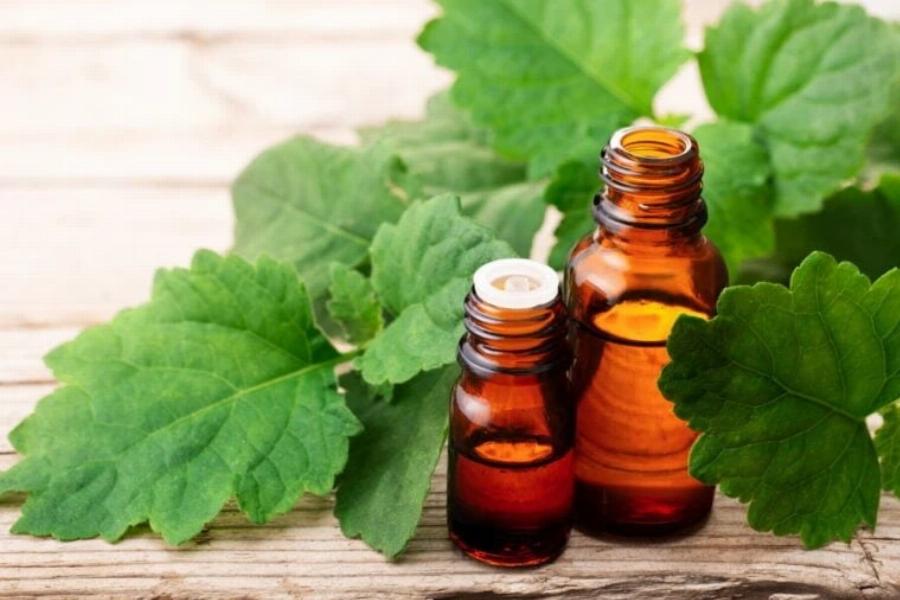 Είναι το πατσουλί ασφαλές για τις γάτες; Εγκεκριμένα από κτηνίατρο στοιχεία & Συχνές ερωτήσεις