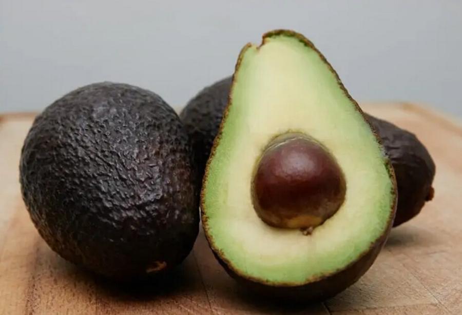 Μπορούν οι γάτες να φάνε αβοκάντο; Εγκεκριμένα από κτηνίατρο στοιχεία & πληροφορίες
