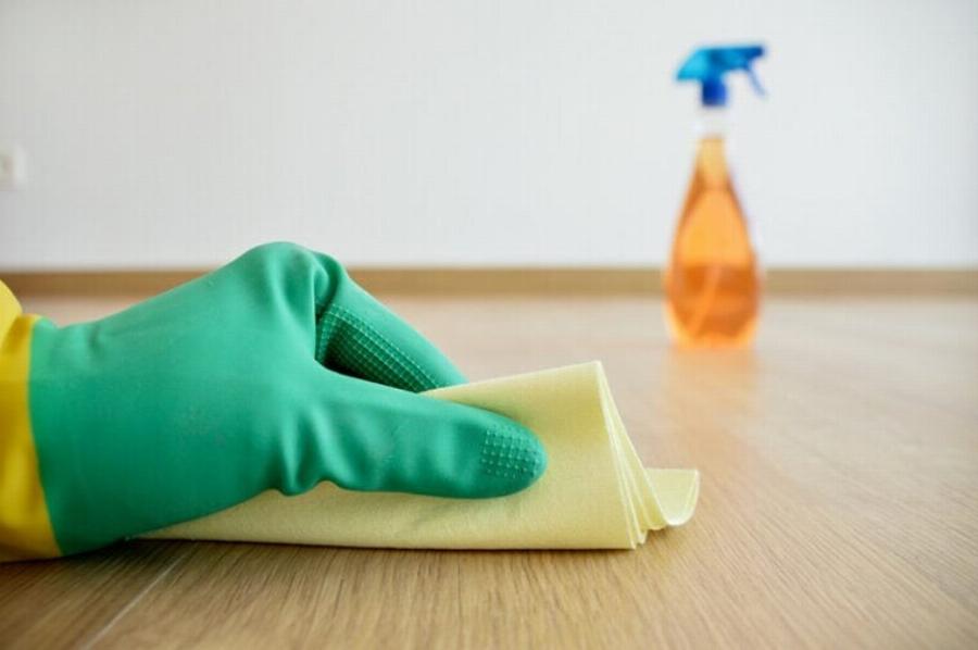 10 ενδιαφέρουσες πληροφορίες για τη γάτα Norwegian Forest που θα εκπλαγείτε να μάθετε