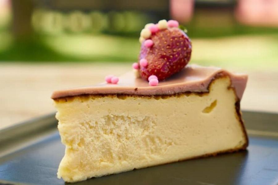 Μπορούν οι γάτες να φάνε Cheesecake; Εγκεκριμένα από κτηνίατρο διατροφικά στοιχεία & πιθανοί κίνδυνοι